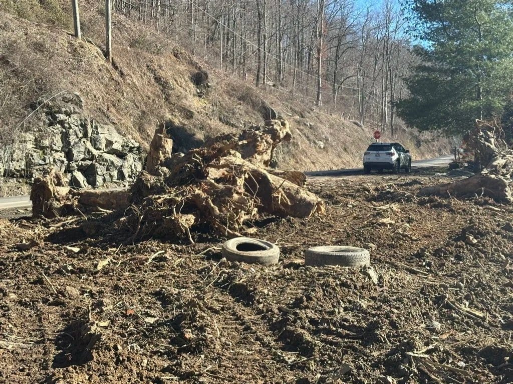 Stumps, roots and storm debris pulled and piled beside a mountain road.